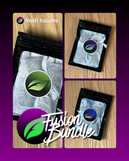 Fusion Bundles