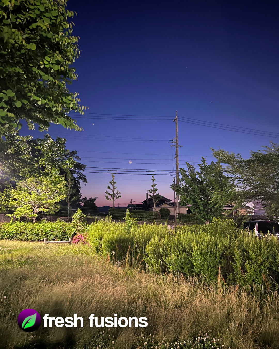 Matsusaka, Japan — botanical sourcing region for Fresh Fusions herbal tea