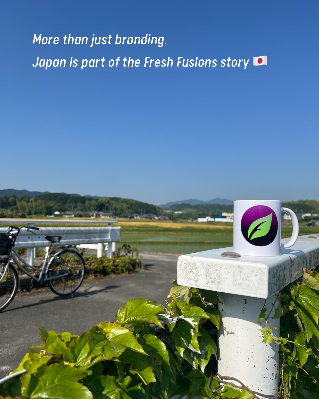 Matsusaka, Japan — botanical sourcing region for Fresh Fusions herbal tea