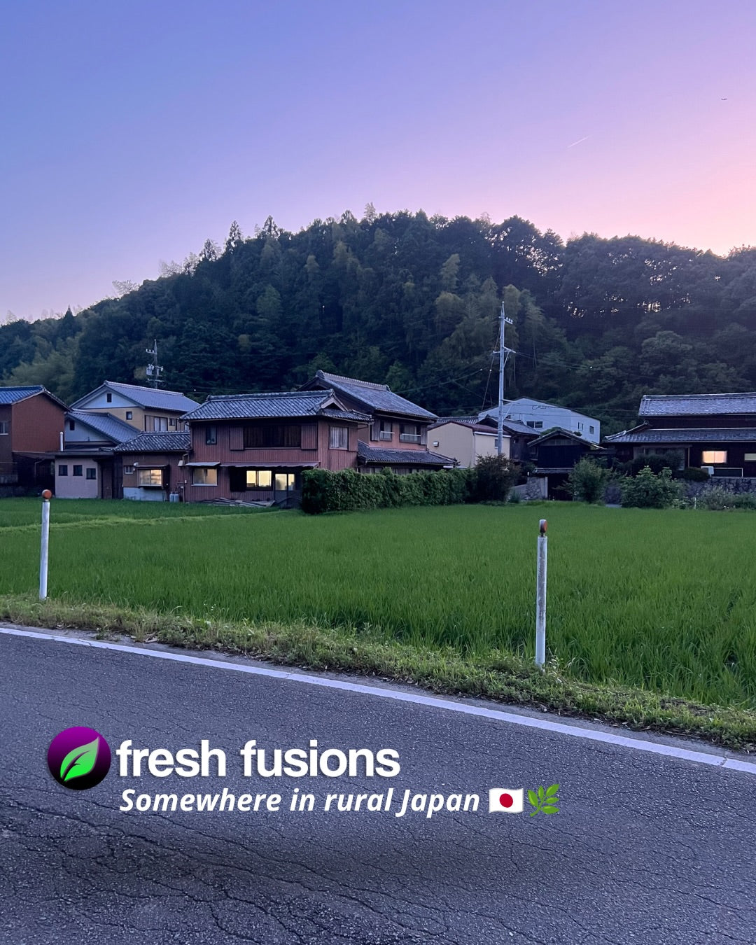Matsusaka, Japan — botanical sourcing region for Fresh Fusions herbal tea